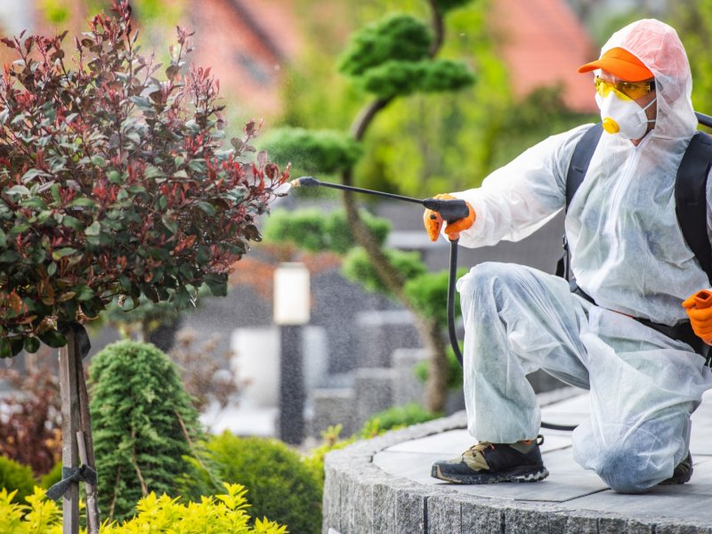 Marmara Haşere İlaçlama